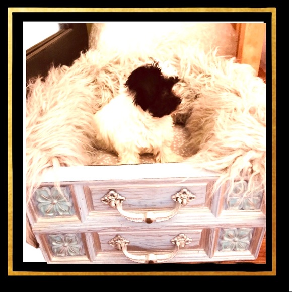 🍃💐look at 1st 4pics Custom Things from My Mind💐 - Picture 15 of 15